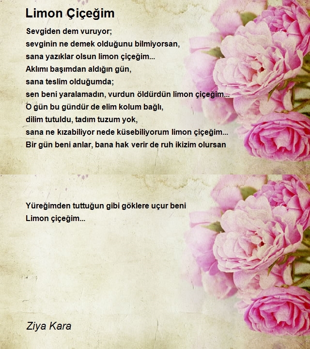 Ziya Kara