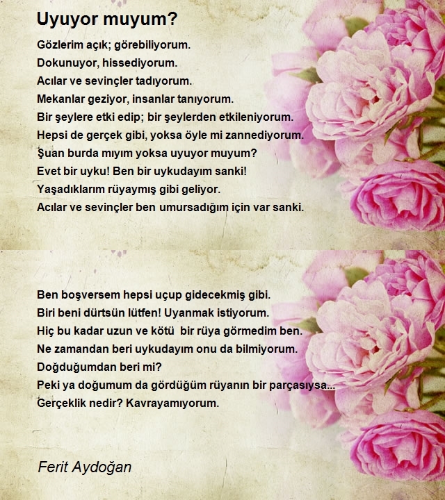 Ferit Aydoğan