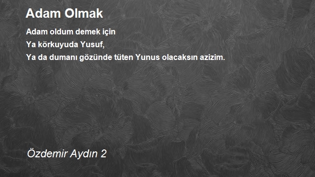 Özdemir Aydın 2