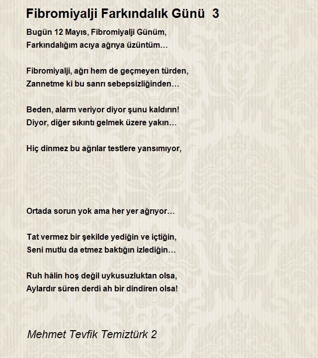 Mehmet Tevfik Temiztürk 2