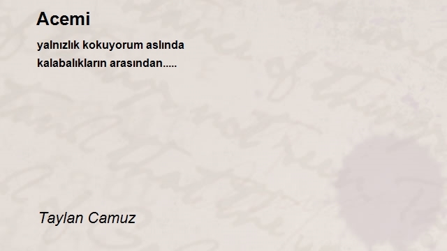 Taylan Camuz
