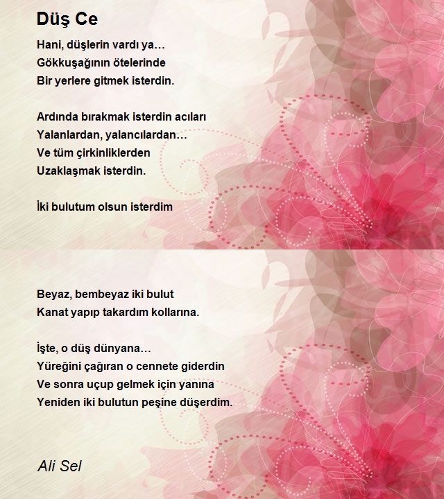 Ali Sel