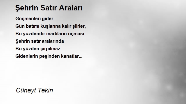 Cüneyt Tekin