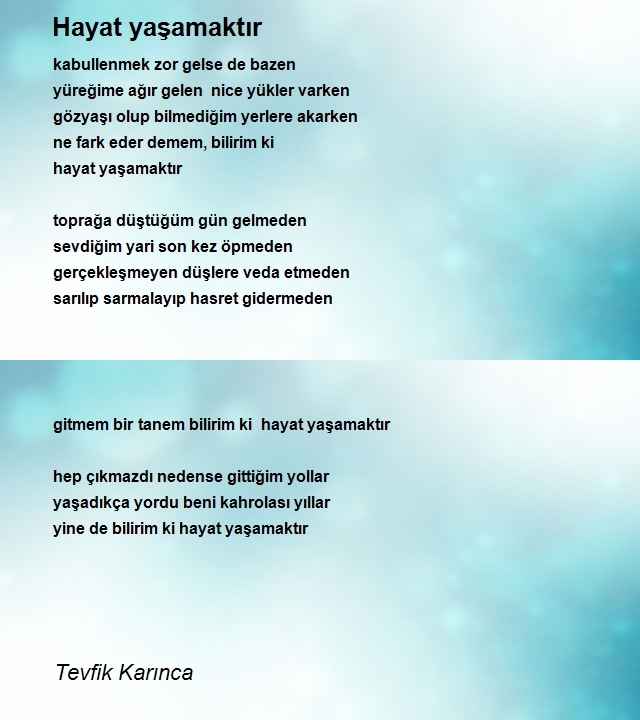 Tevfik Karınca