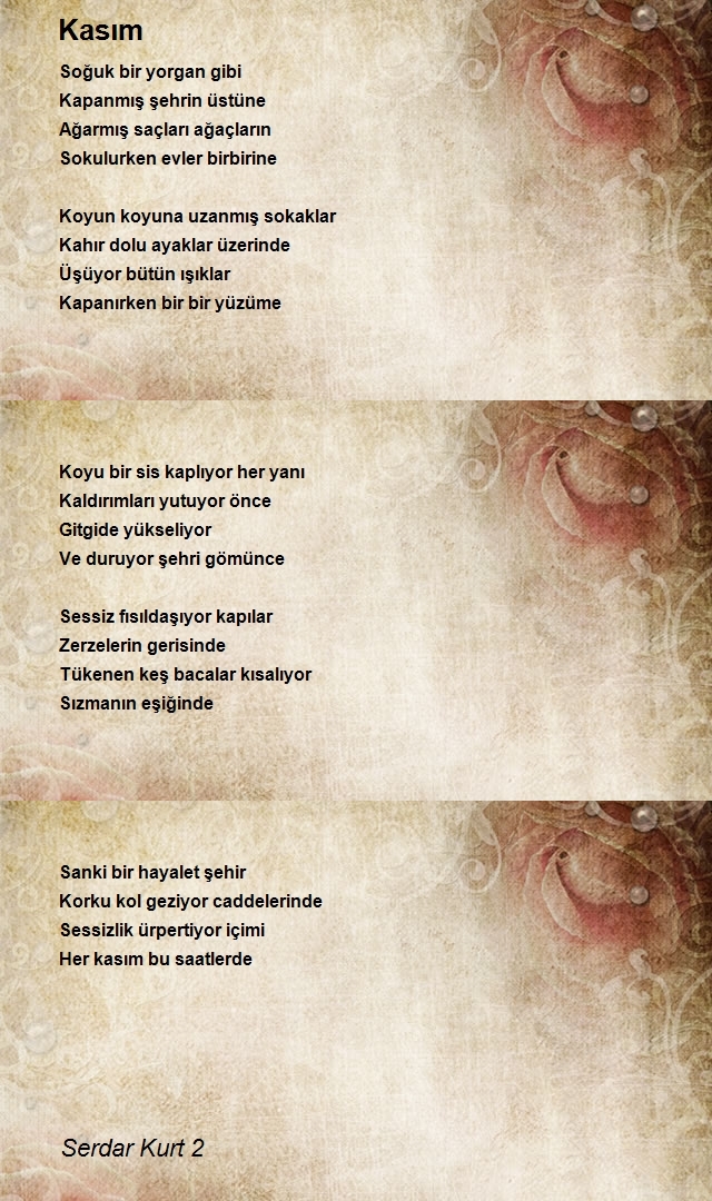Serdar Kurt 2