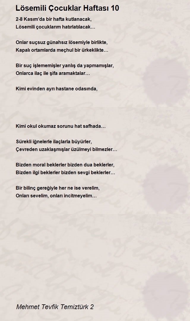 Mehmet Tevfik Temiztürk 2