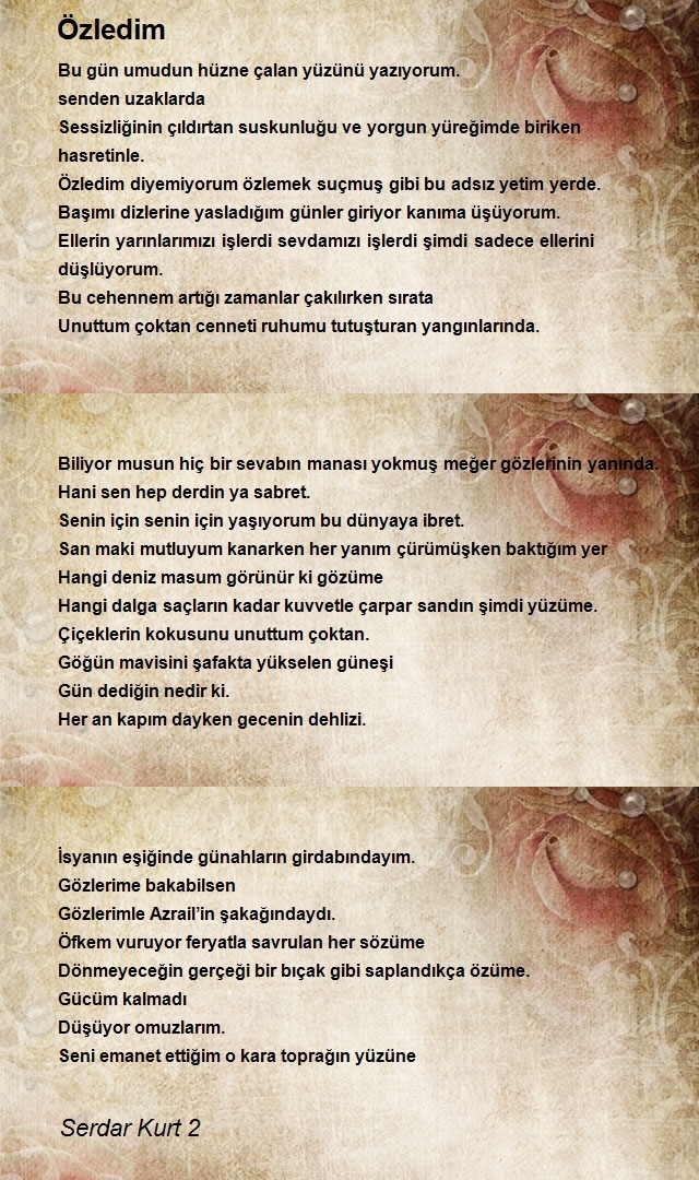 Serdar Kurt 2