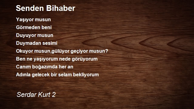 Serdar Kurt 2