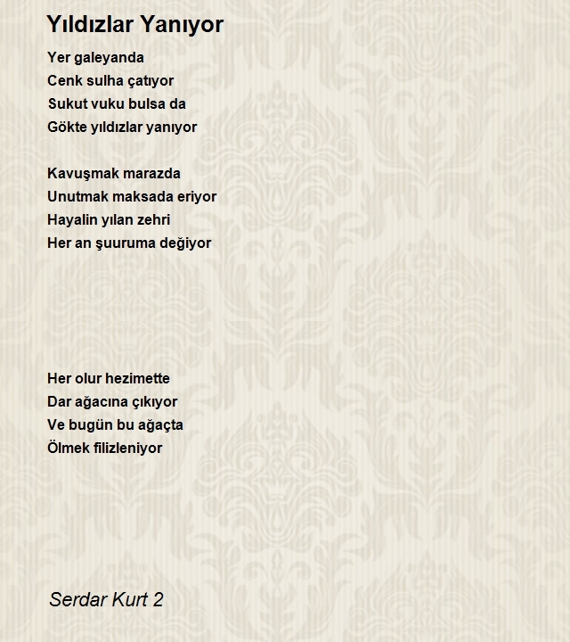 Serdar Kurt 2