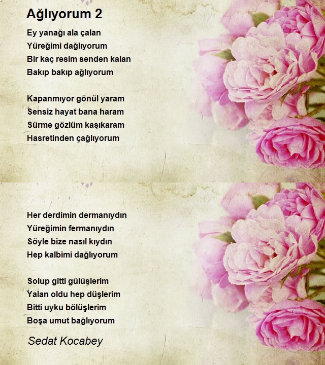 Sedat Kocabey