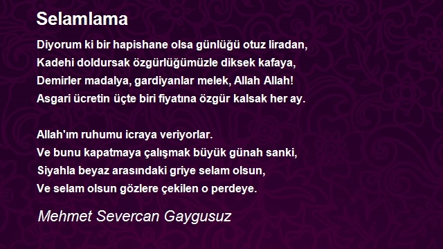 Mehmet Severcan Gaygusuz