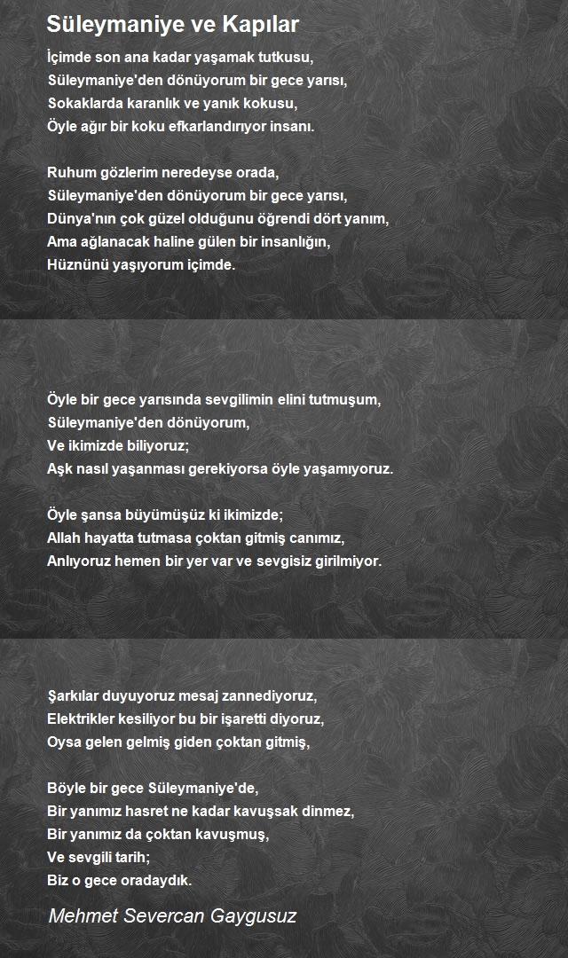 Mehmet Severcan Gaygusuz