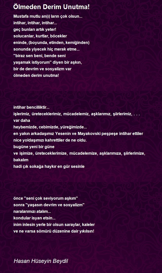 Hasan Hüseyin Beydil