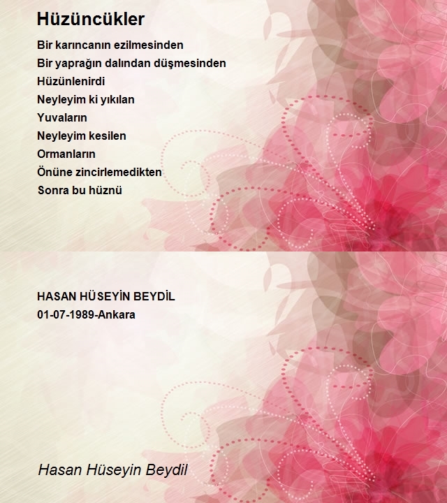 Hasan Hüseyin Beydil