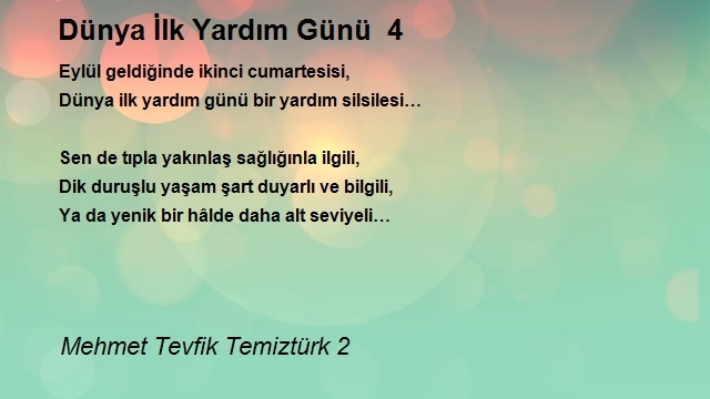 Mehmet Tevfik Temiztürk 2