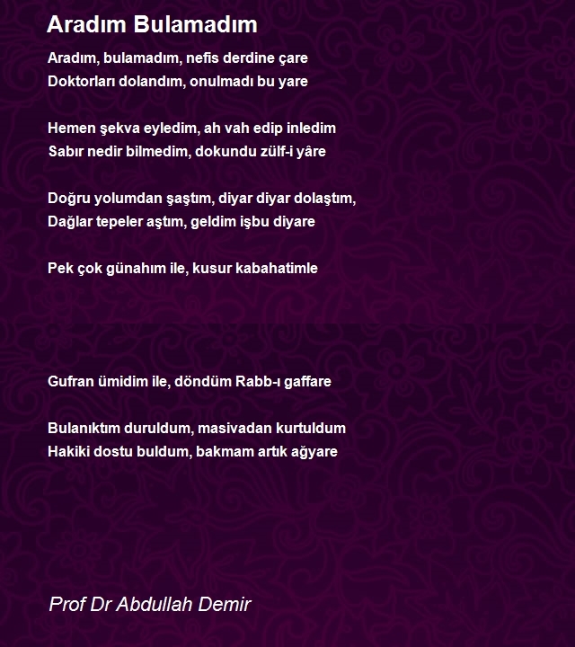Prof Dr Abdullah Demir