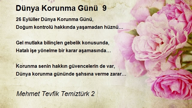 Mehmet Tevfik Temiztürk 2