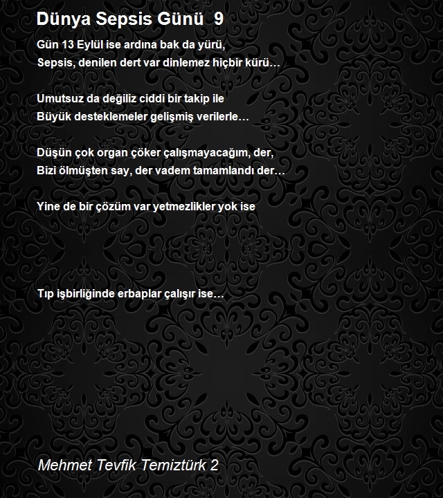 Mehmet Tevfik Temiztürk 2