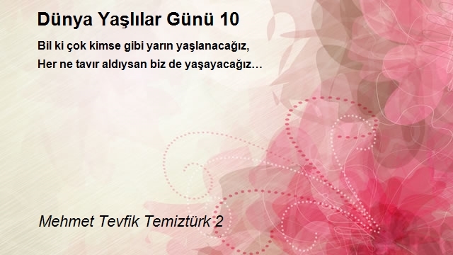 Mehmet Tevfik Temiztürk 2