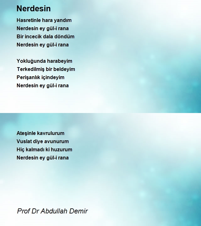 Prof Dr Abdullah Demir