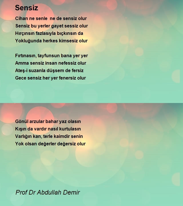 Prof Dr Abdullah Demir