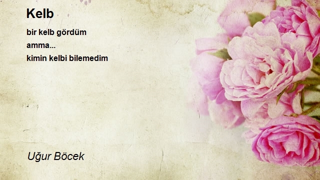 Uğur Böcek
