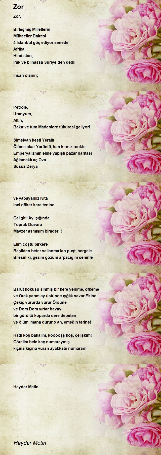 Haydar Metin