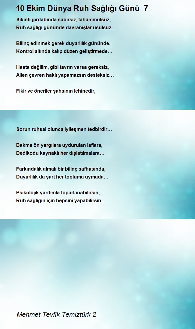 Mehmet Tevfik Temiztürk 2