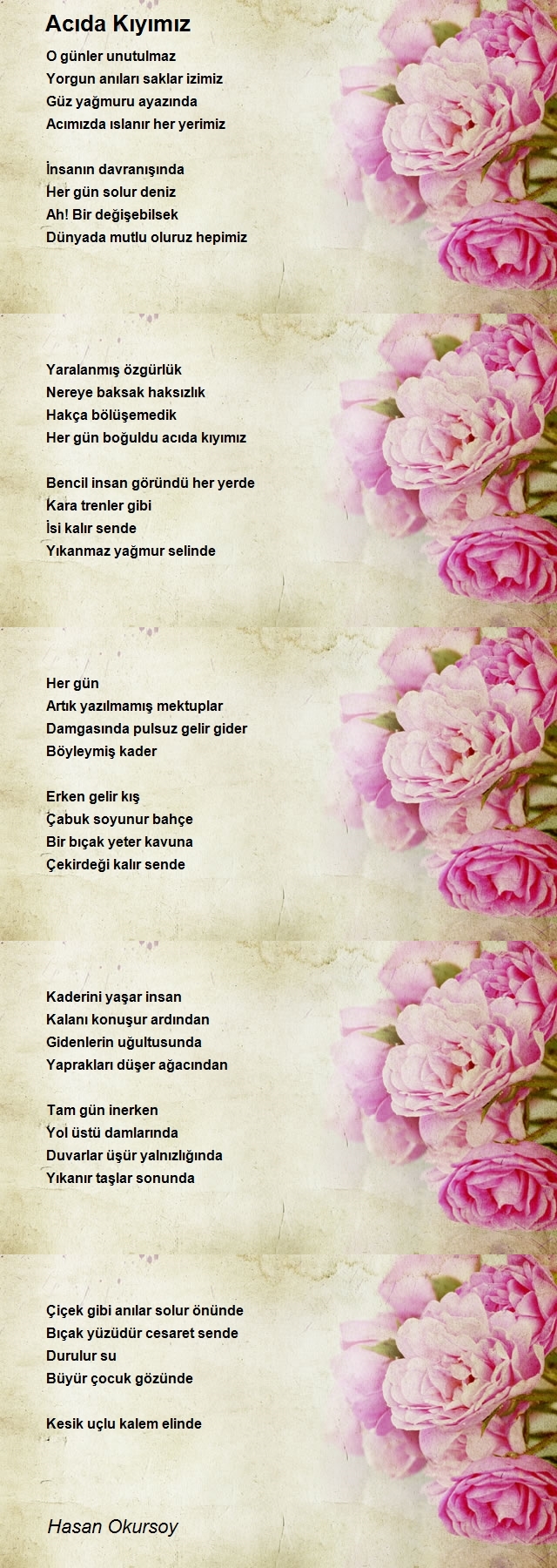 Hasan Okursoy