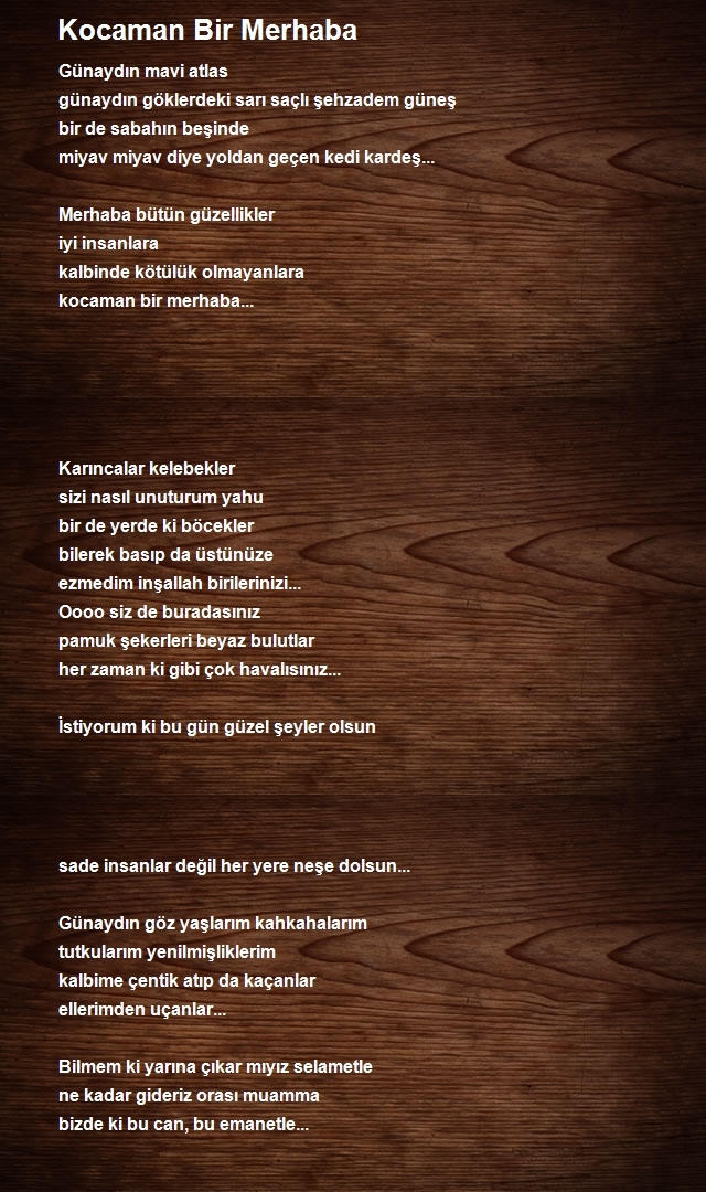 Ahmet Zeytinci