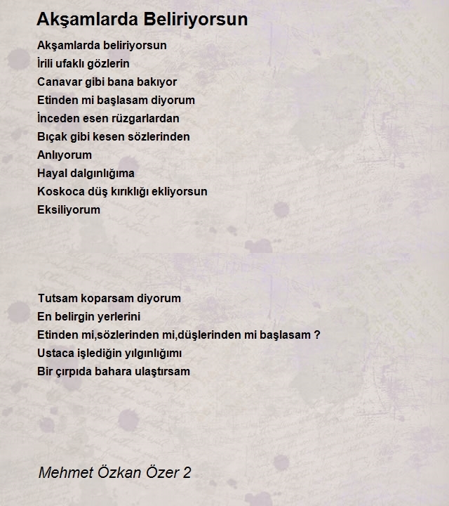 Mehmet Özkan Özer 2