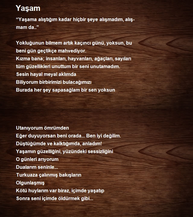 Yusuf Tuzcu 2