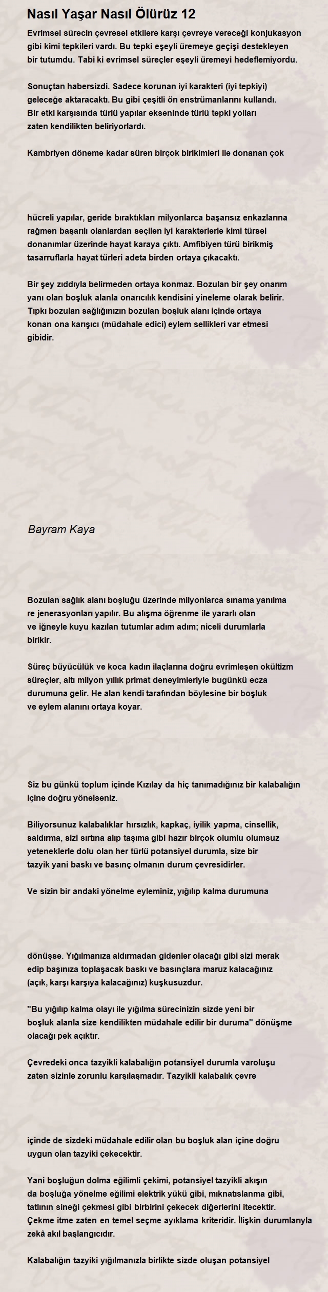 Bayram Kaya