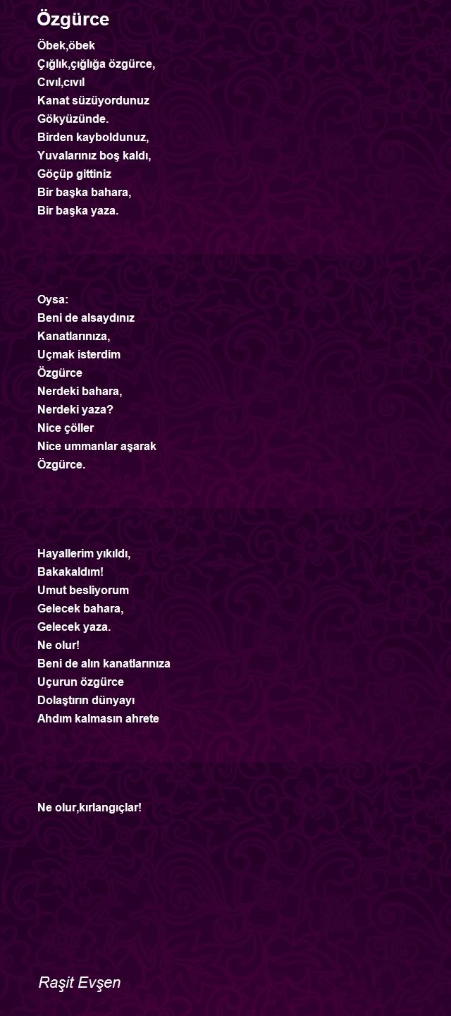 Raşit Evşen