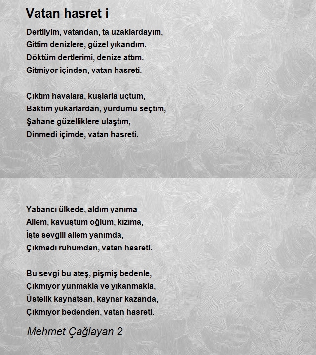 Mehmet Çağlayan 2