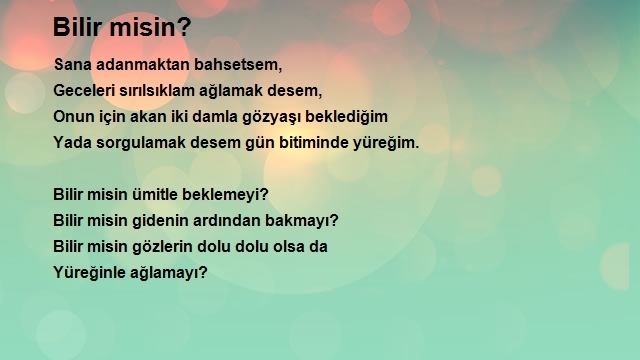 Emel Seyhan 2