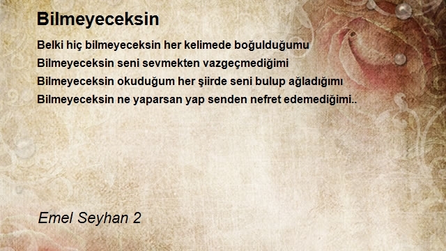 Emel Seyhan 2