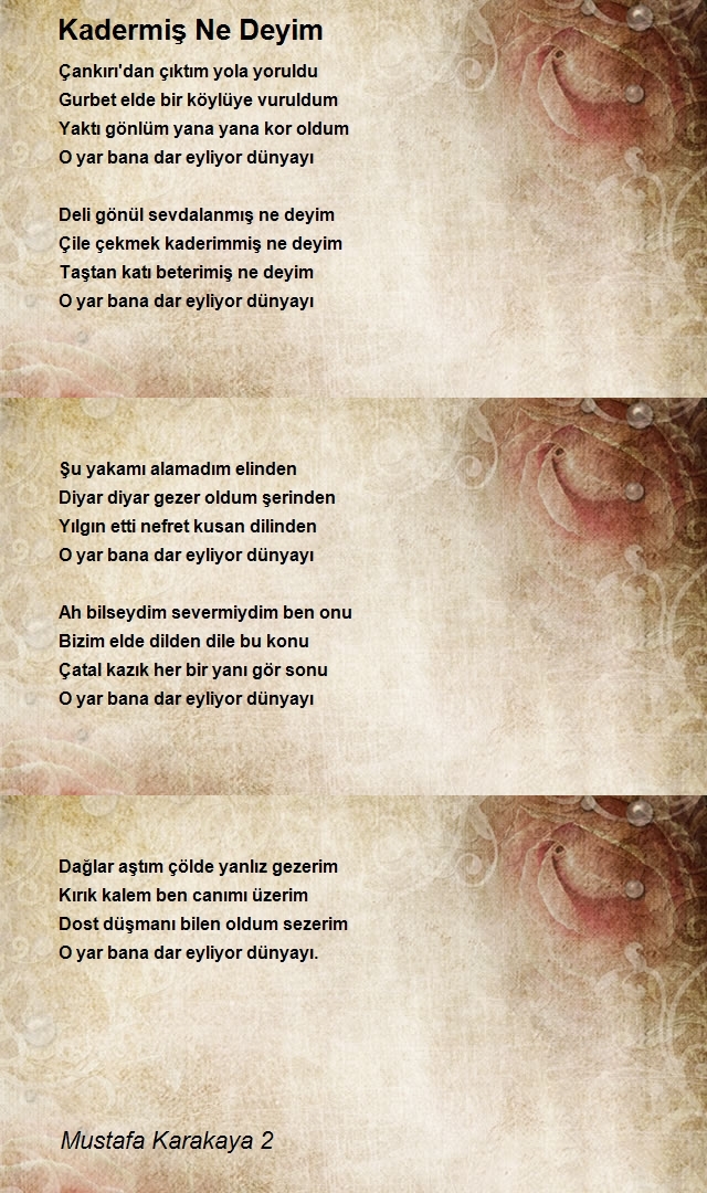 Mustafa Karakaya 2
