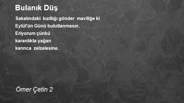 Ömer Çetin 2