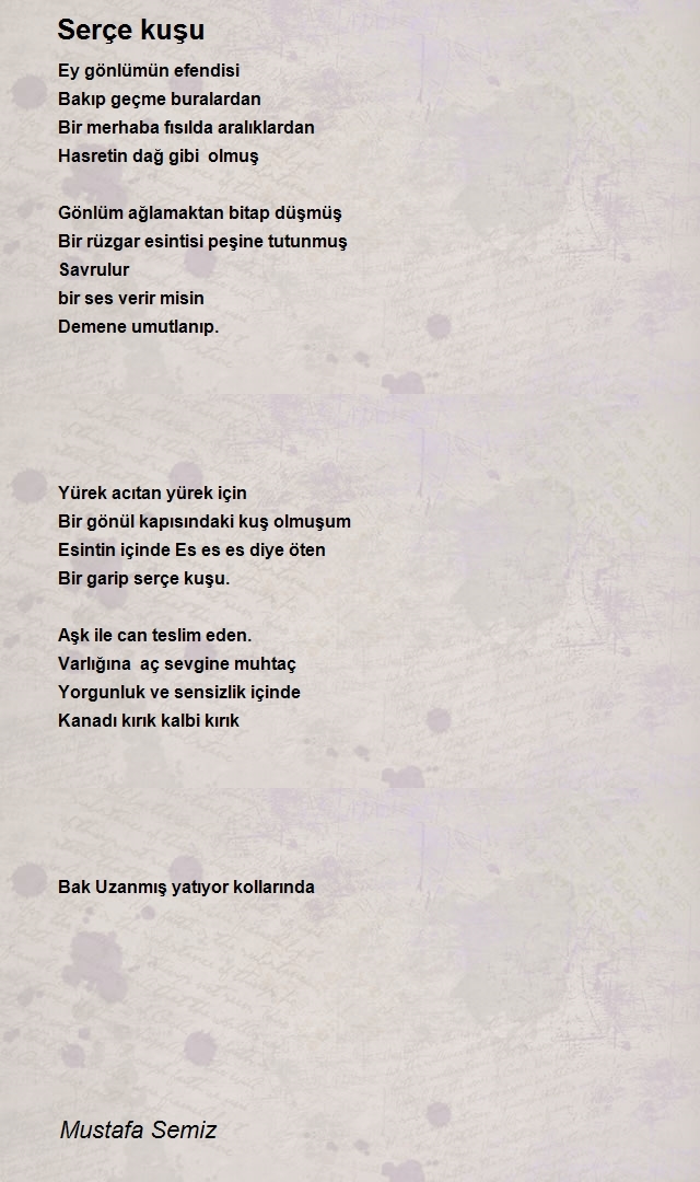 Mustafa Semiz