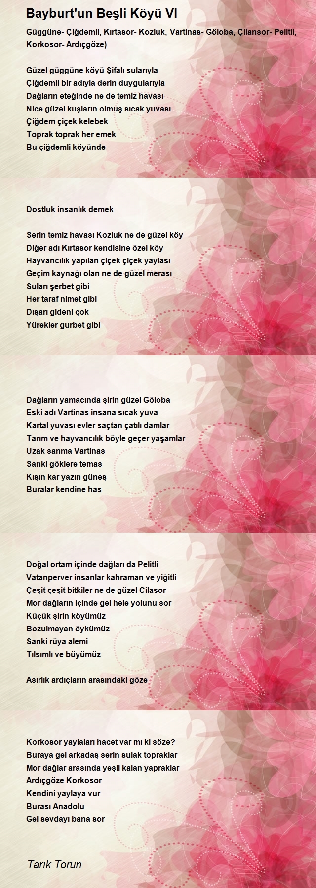Tarık Torun