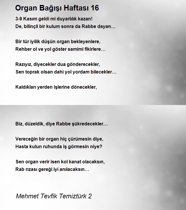 Mehmet Tevfik Temiztürk 2