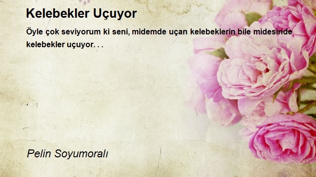 Pelin Soyumoralı