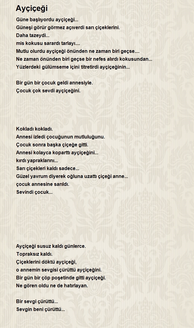 Evvel Zaman İçinde