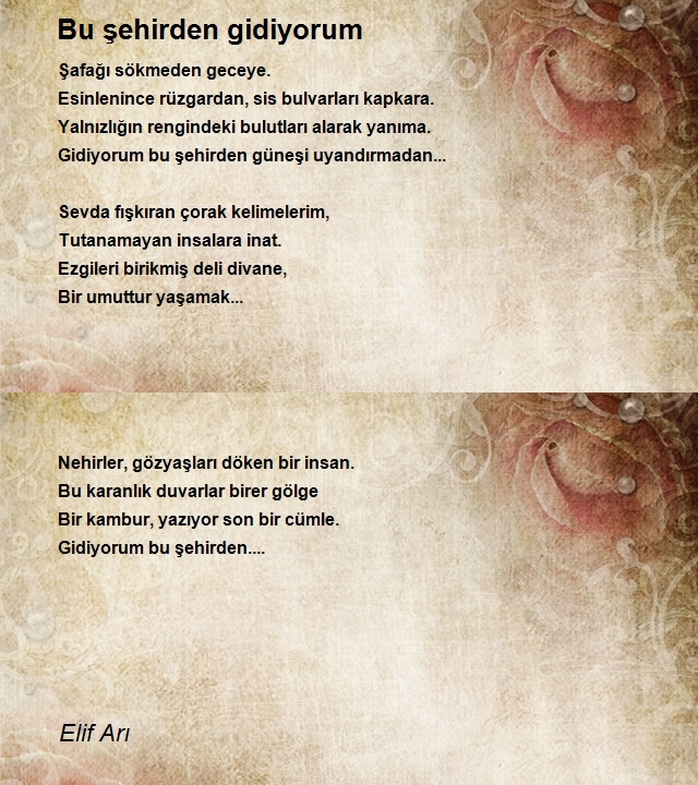 Elif Arı
