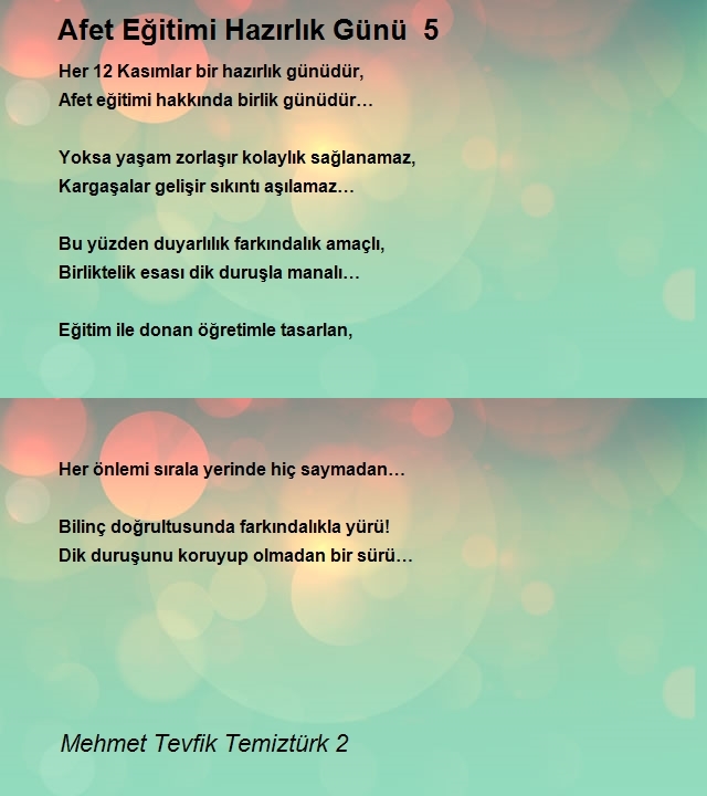Mehmet Tevfik Temiztürk 2