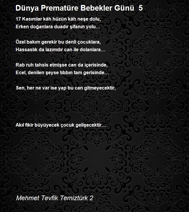 Mehmet Tevfik Temiztürk 2