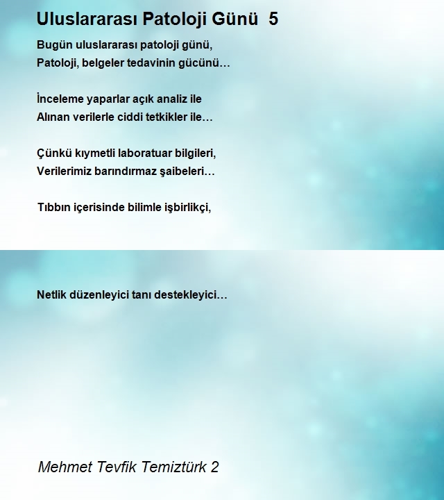 Mehmet Tevfik Temiztürk 2