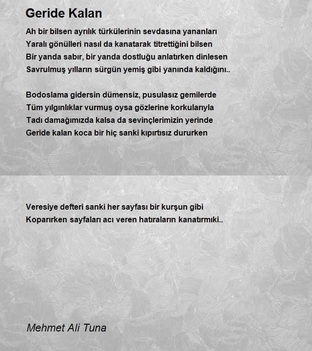 Mehmet Ali Tuna