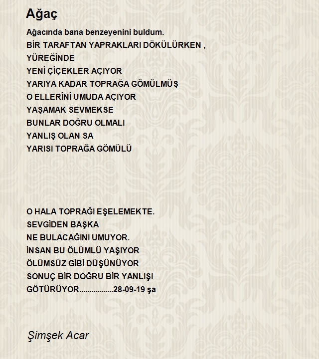 Şimşek Acar
